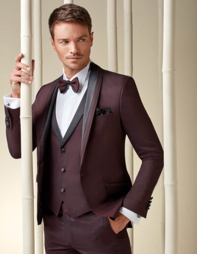ALBERTO bordeaux