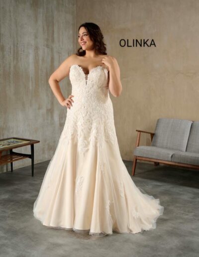 OLINKA